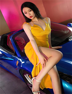 偷心者