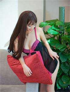 虎啸龙吟